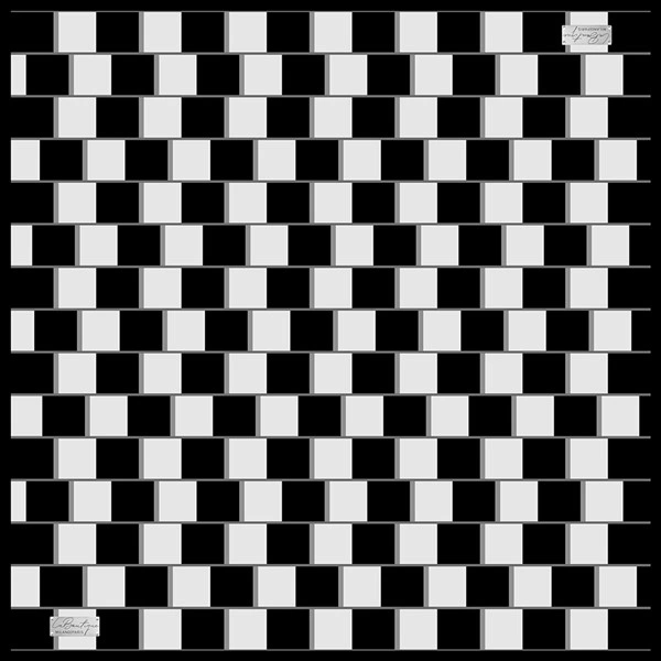 2010 Twıll İpek - 10