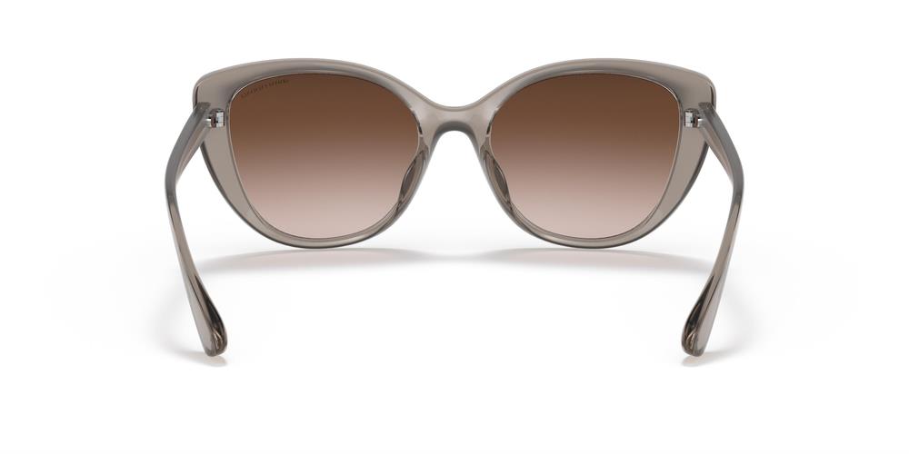 ARMANI EXCHANGE AX4111SU 82401354 KADIN GÜNEŞ GÖZLÜĞÜ