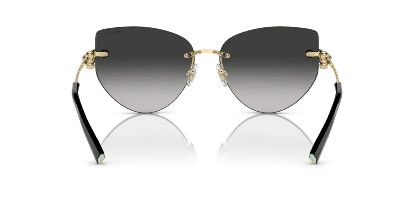 Tiffany Co. TF 3096 60213C 60 Kadın Güneş Gözlüğü
