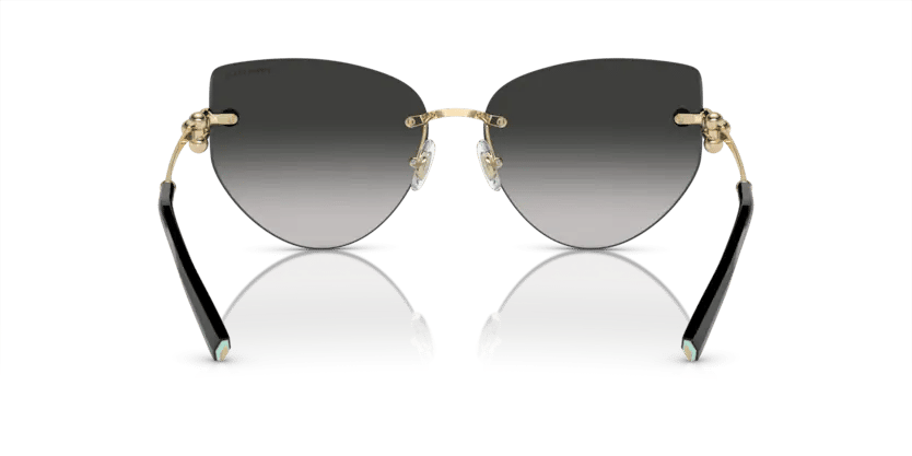 Tiffany Co. TF 3096 60213C 60 Kadın Güneş Gözlüğü