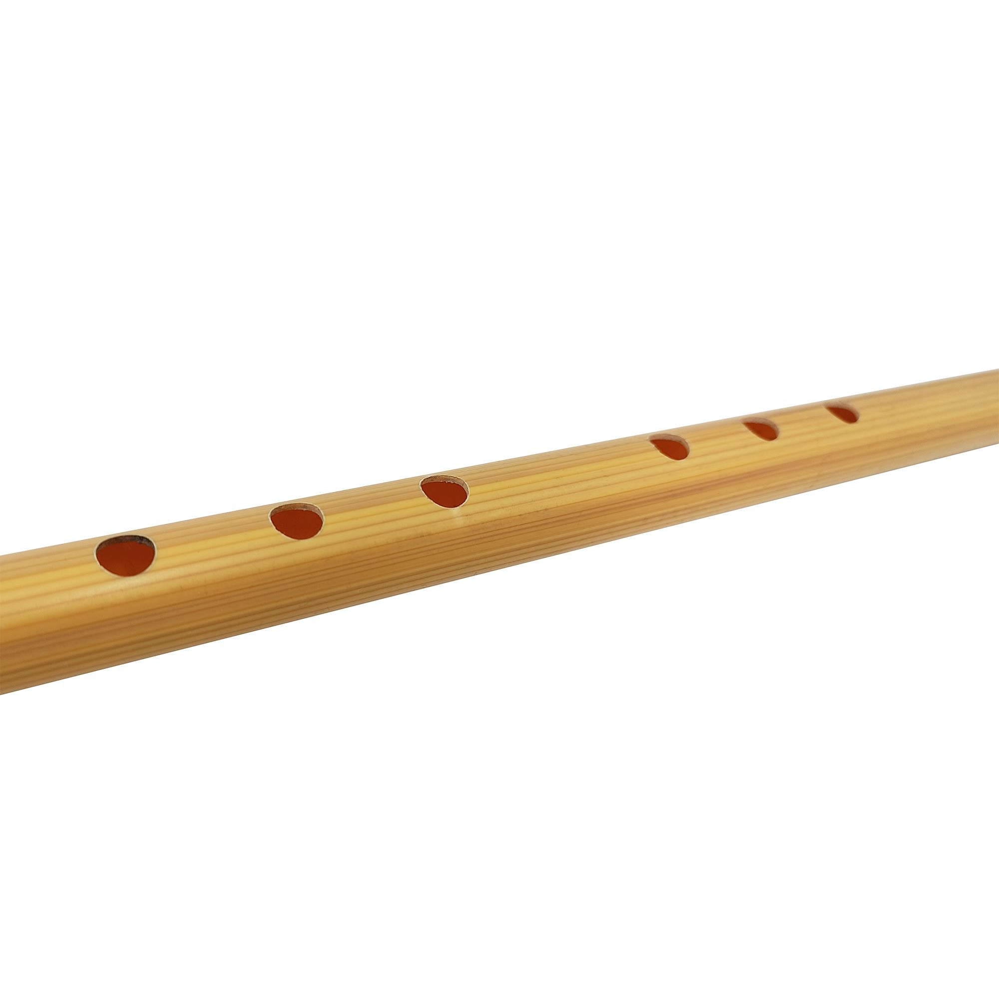 Jwin JPN-70 Plastik Öğrenci Neyi