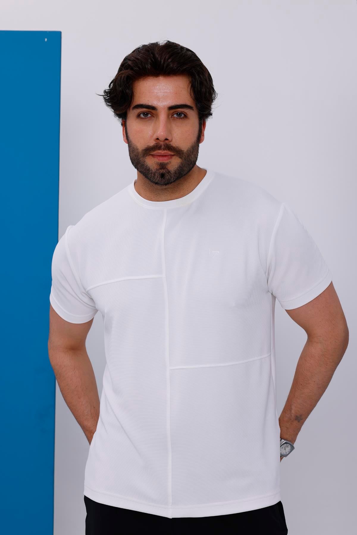 Erkek Beyaz Bisiklet Yaka Normal ve Battal Beden T-Shirt - 172