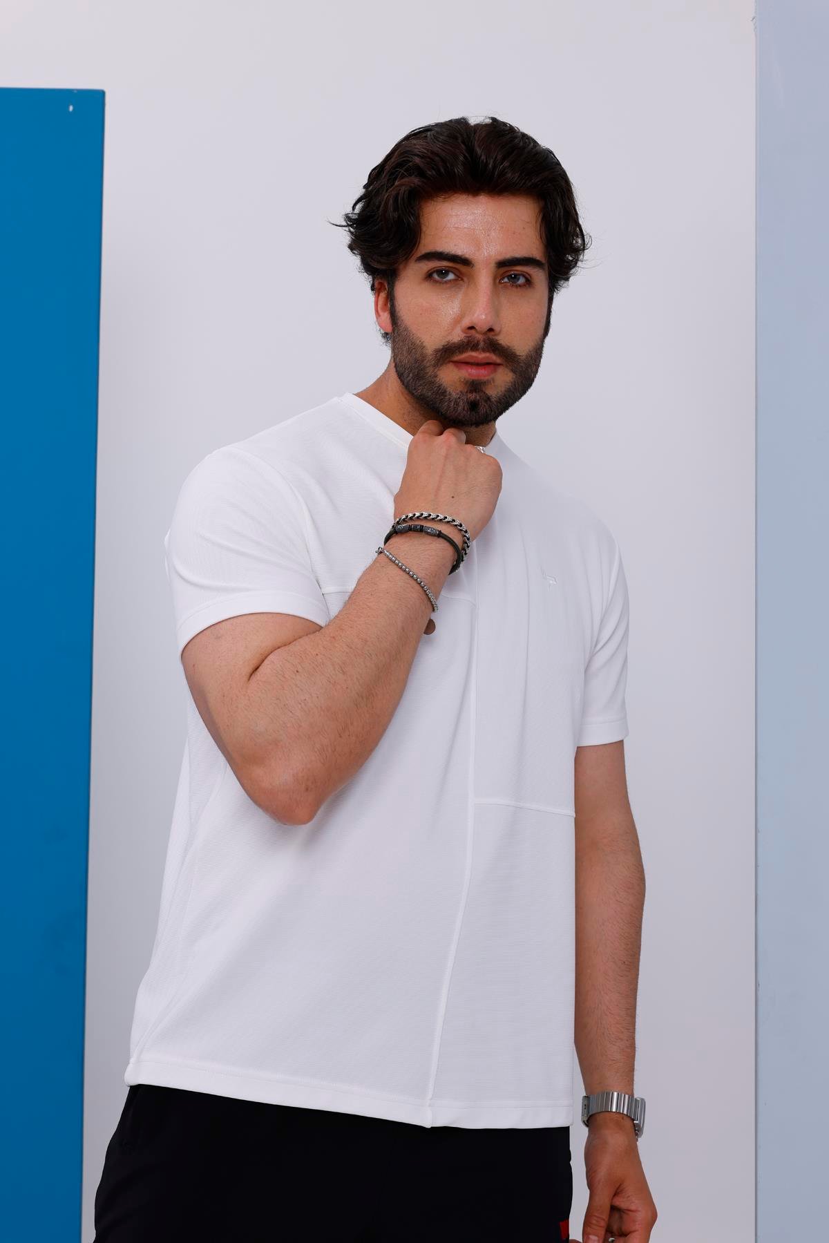 Erkek Beyaz Bisiklet Yaka Normal ve Battal Beden T-Shirt - 172