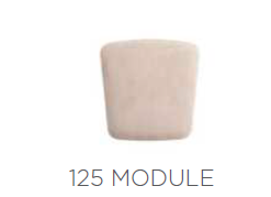MORPHOSE 125 MODÜL 