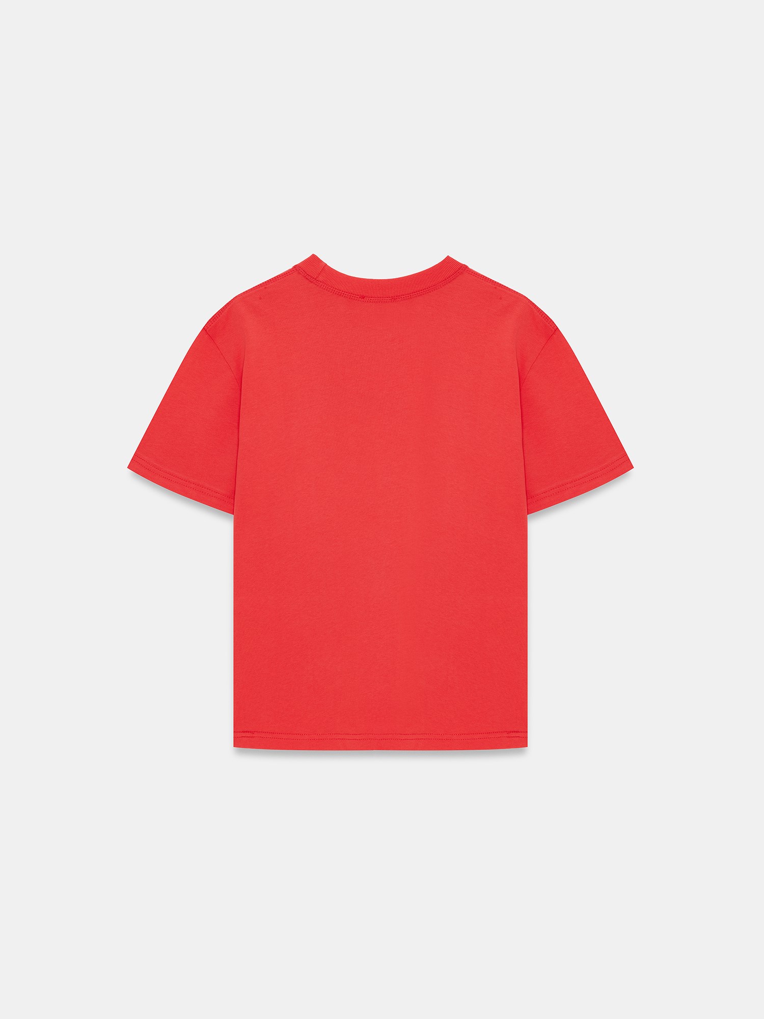 Dekoratif Dikişli Bisiklet Yaka Tshirt