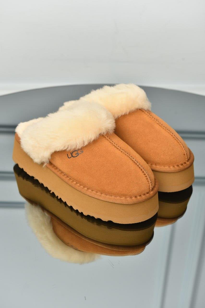 UGG DISQUETTE 
