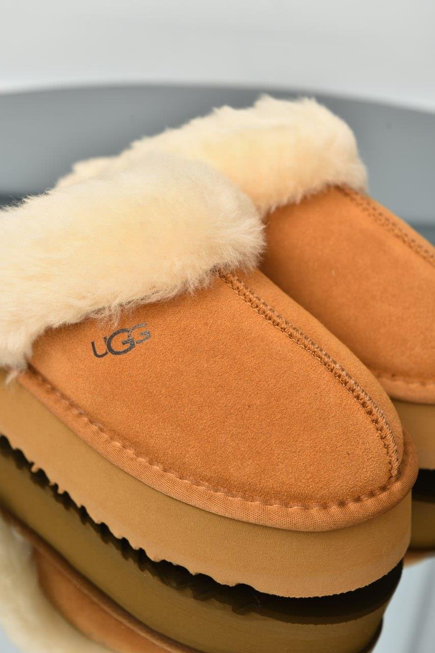 UGG DISQUETTE 