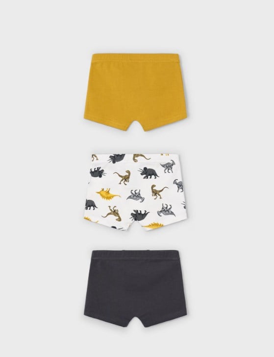 10035 SET-3 LU BOXER