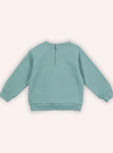 Panço Erkek Bebek Bisiklet Yaka Üçgen Desenli Şerit Detaylı Sweatshirt 0-3 Yaş MİNT
