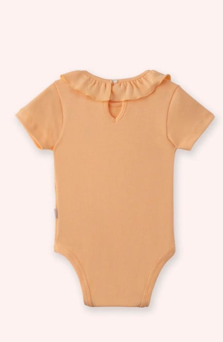 Panço Kız Bebek Kısa Kollu Bisiket Yaka Çıtçıt Kapamalı 2'Li Body 1-18 Ay MİNT