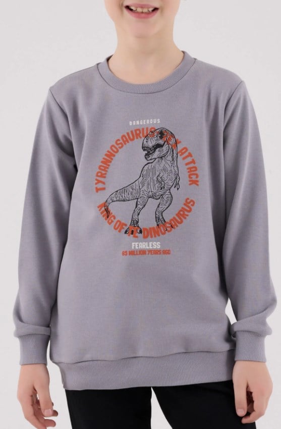 RolyPoly Erkek Çocuk Dinozor Baskılı Yeşil Bisiklet Yaka Sweatshirt ve Eşofman Takımı 8-14  Yaş GRİ