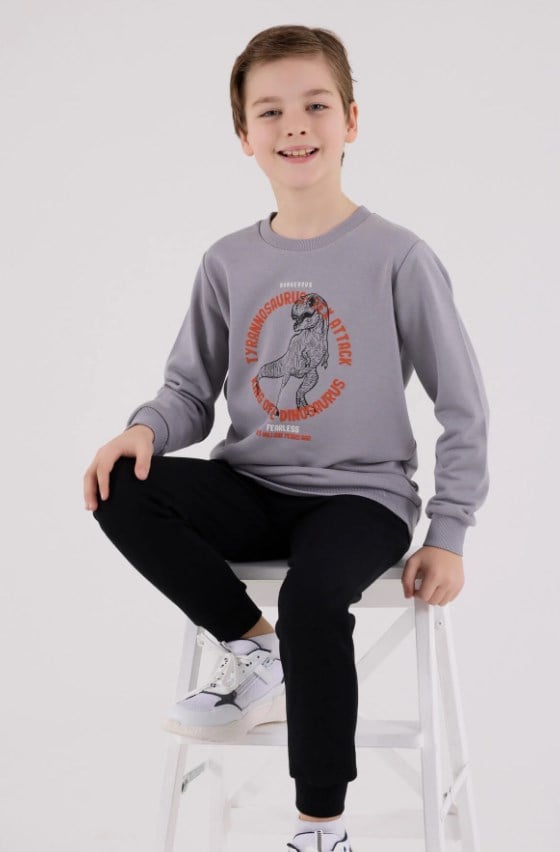 RolyPoly Erkek Çocuk Dinozor Baskılı Yeşil Bisiklet Yaka Sweatshirt ve Eşofman Takımı 2-8 Yaş GRİ