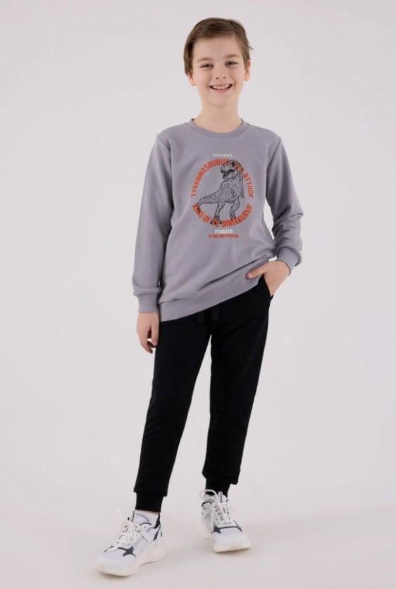 RolyPoly Erkek Çocuk Dinozor Baskılı Yeşil Bisiklet Yaka Sweatshirt ve Eşofman Takımı 8-14  Yaş GRİ