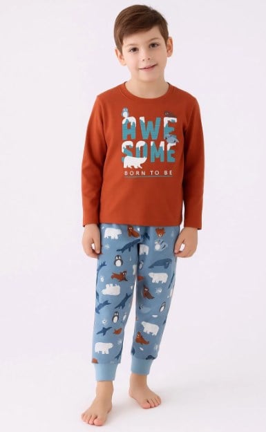 Rolypoly Erkek Çocuk Panda  Baskı Takım 2-8 Yaş KİREMİT