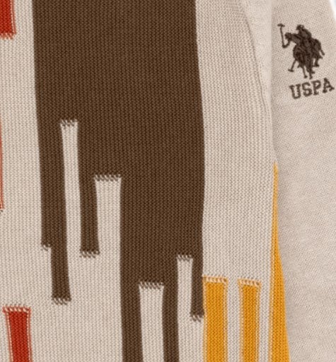 U.s Polo Assn Erkek Çocuk Uzun Kol Bisiklet Yaka Renkli Desen Detayı 3-14 Yaş TAŞ