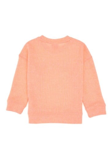 U.s Polo Assn. Kız Çocuk Uzun Kollu Bisiklet Yaka Tasarımı Yazı Baskı Detay Sweatshirt 4-12 Yaş PEMBE