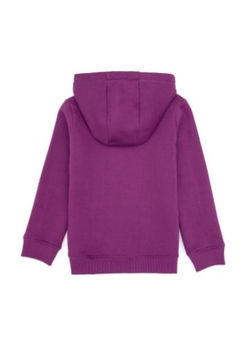U.s Polo Assn. Kız Çocuk  Kapüşonlu Baskı Detaylı Uzun Kollu Sweatshirt 4-12  Yaş MENEKŞE