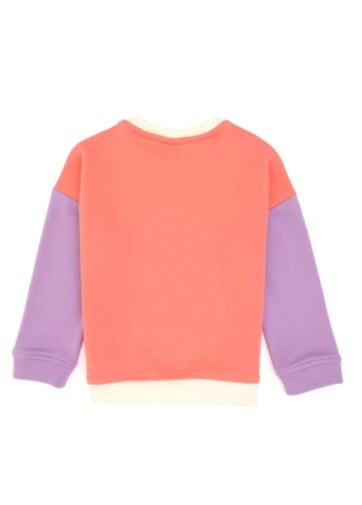 U.s Polo Assn. Kız Çocuk Bisiklet Yaka Tasarımı, Renk Bloklu Kolları Figürlü Baskı Detaylı Sweatshirt 4-12 Yaş İNCİ