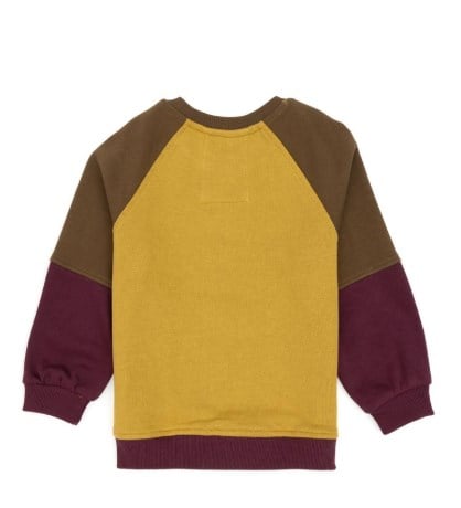 U.S. Polo Assn. Erkek Çocuk Blok Renkli Bisiklet Yaka Sweatshirt 4-12 Yaş YAĞ YEŞİLİ