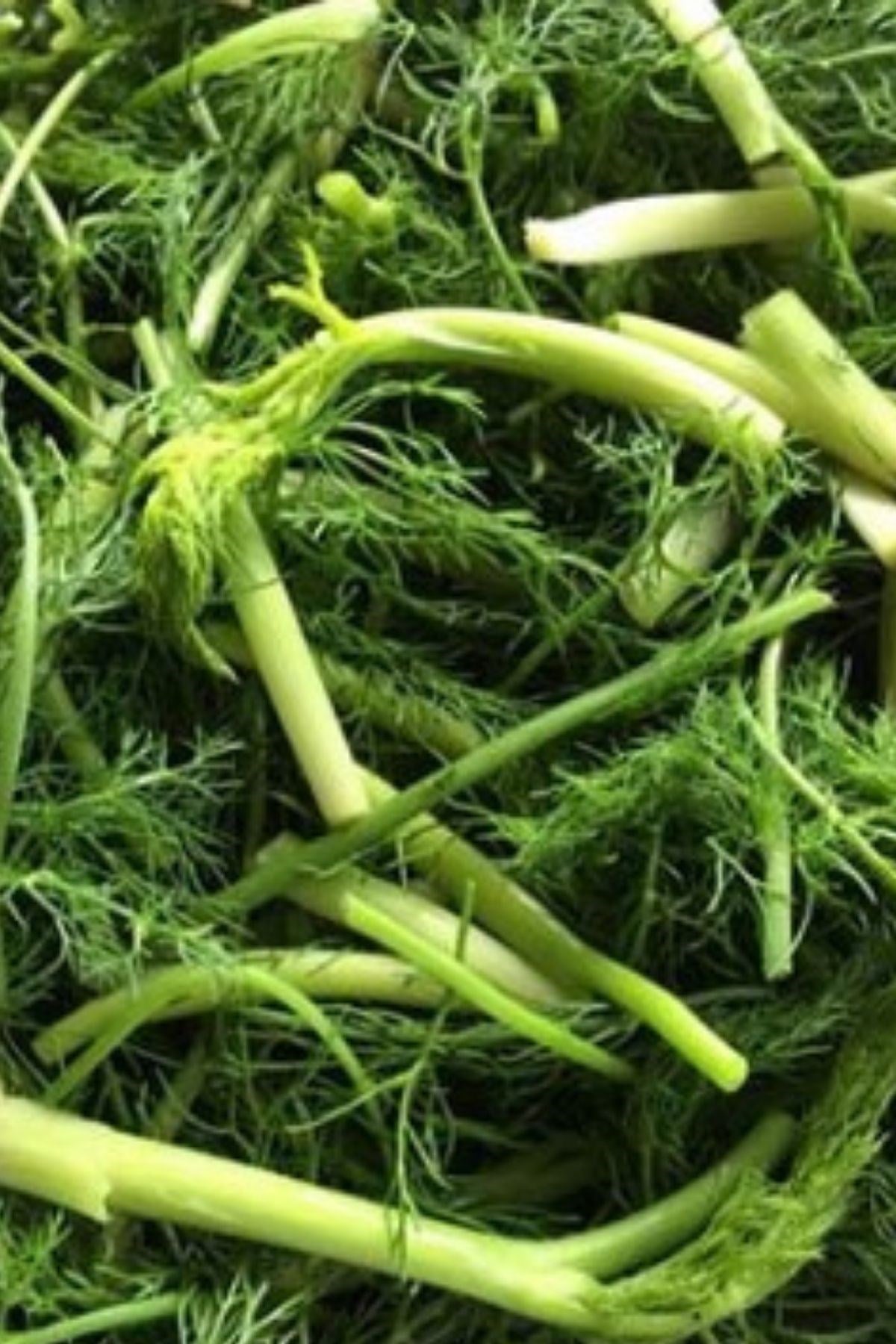 Arapsaçı 1 kg