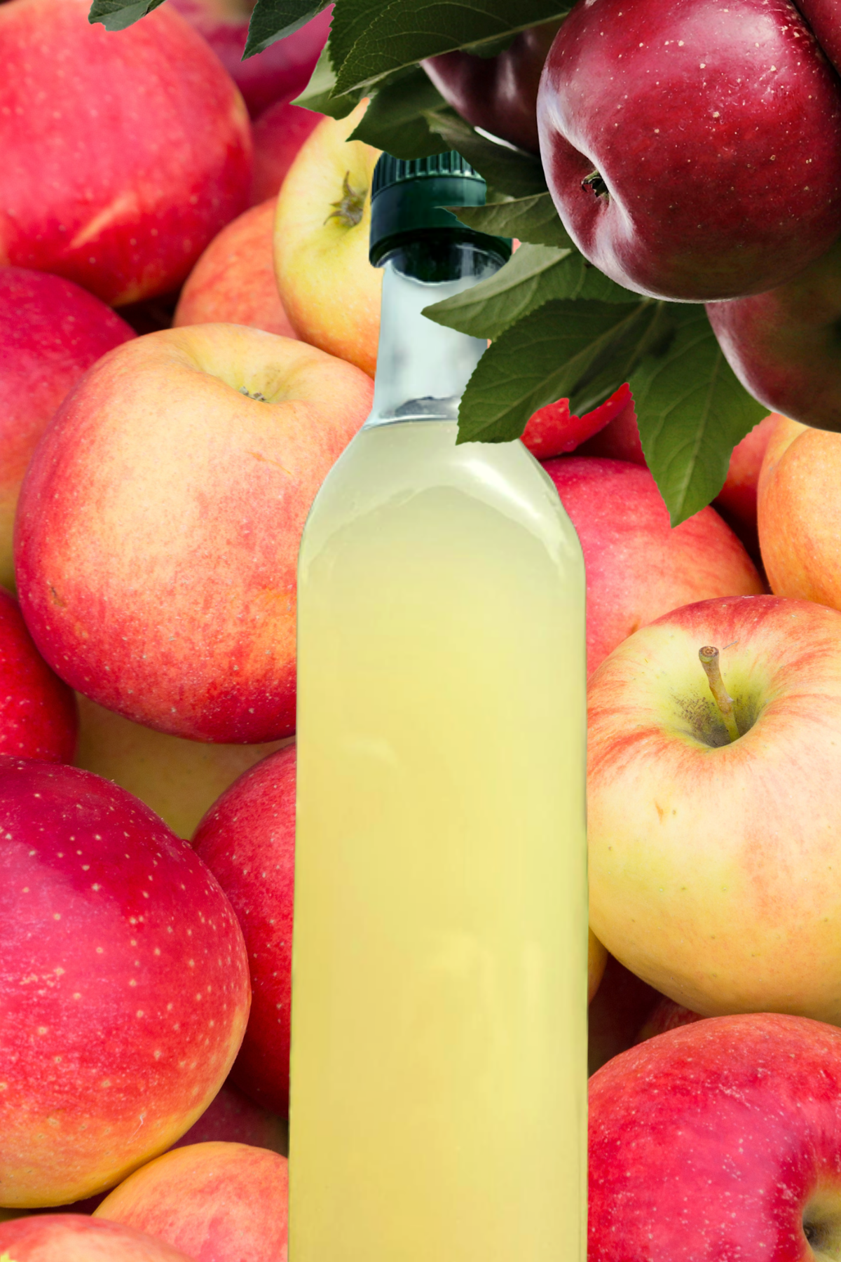 Ev Yapımı Elma Sirkesi 500 ml