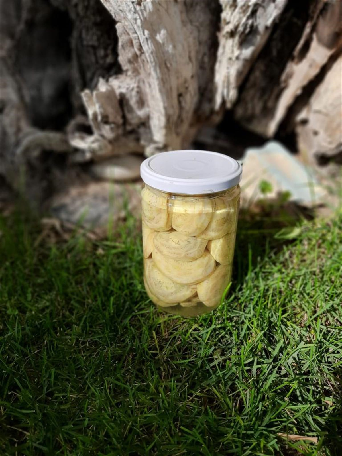 Kavanozda Küçük Çanak Enginar (660 cc)