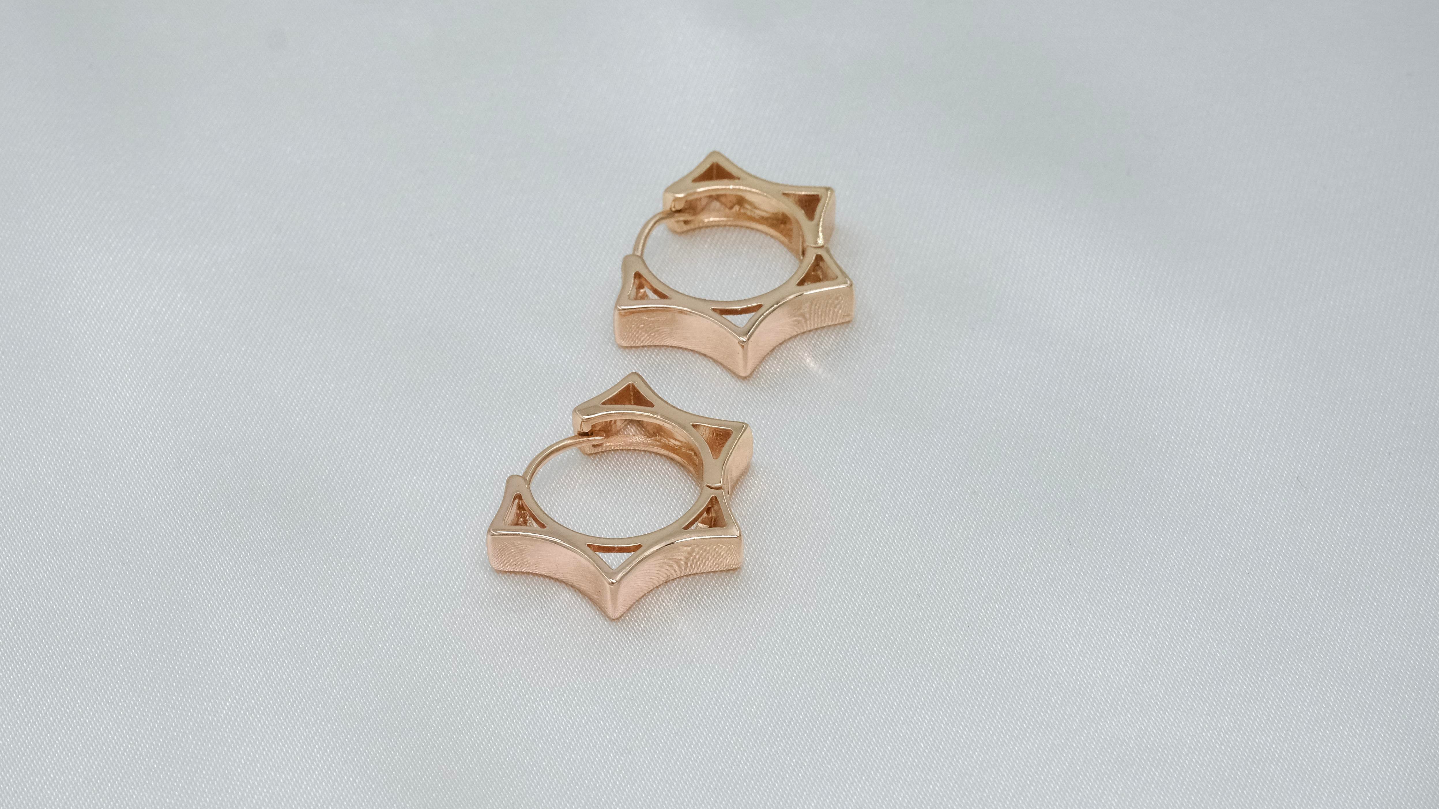 STAR Vip küpe 00848