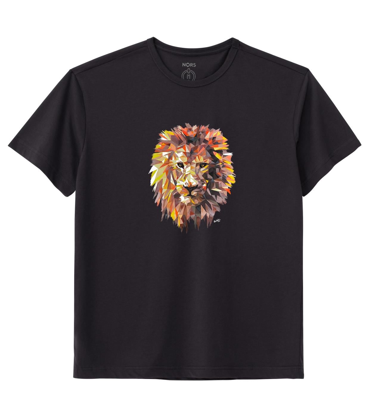 Aslan Tshirt Antrasit