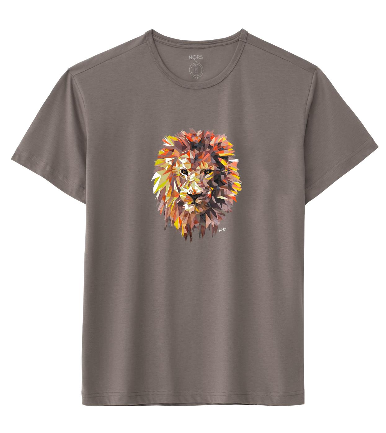 Aslan Tshirt Vizon