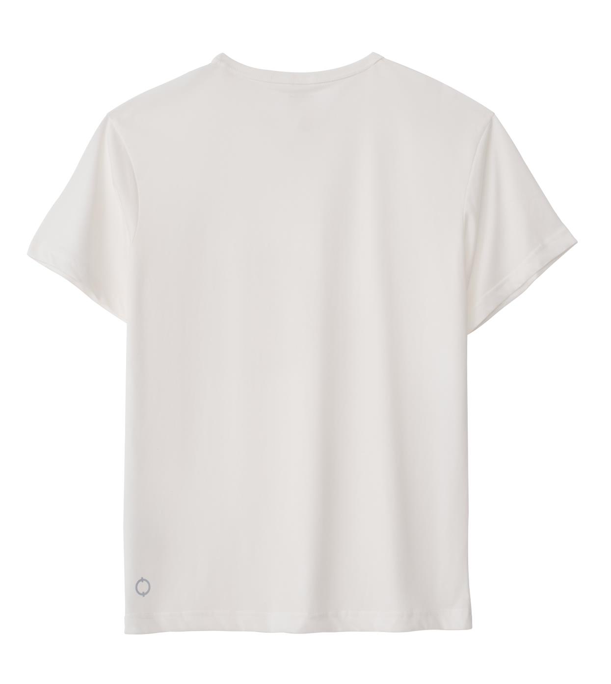 Shark No 2 Regular Tshirt