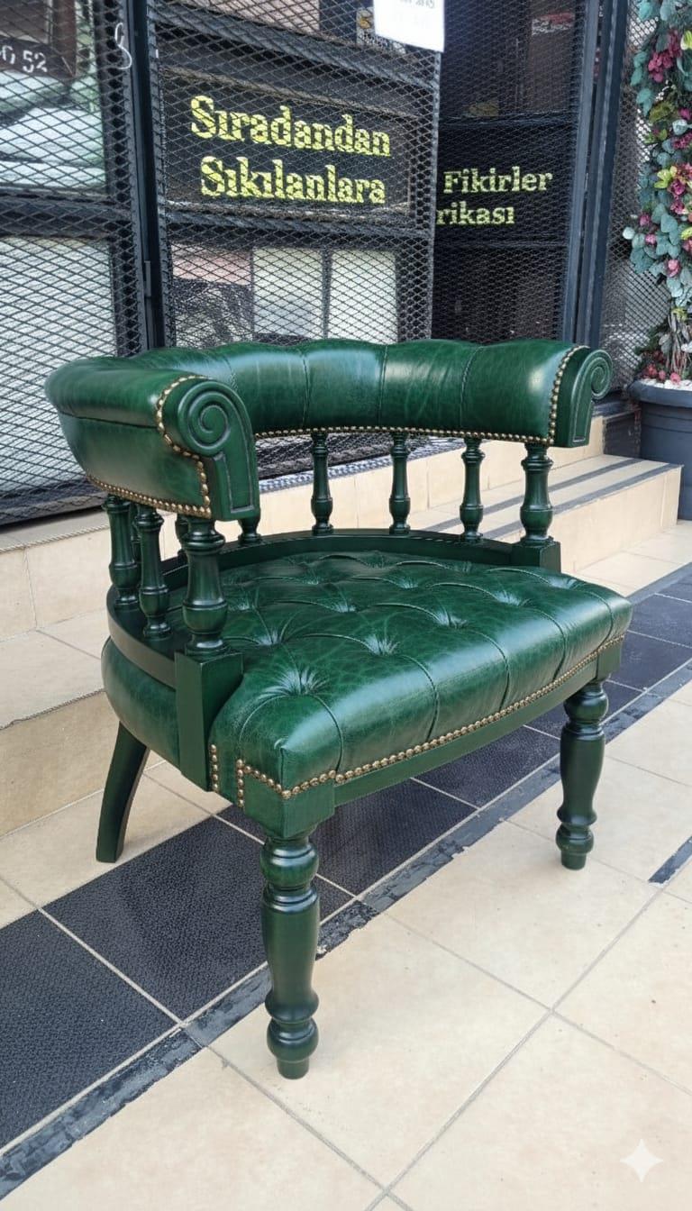 3A MOBİLYA GREEN BRİSTOL BERJER 