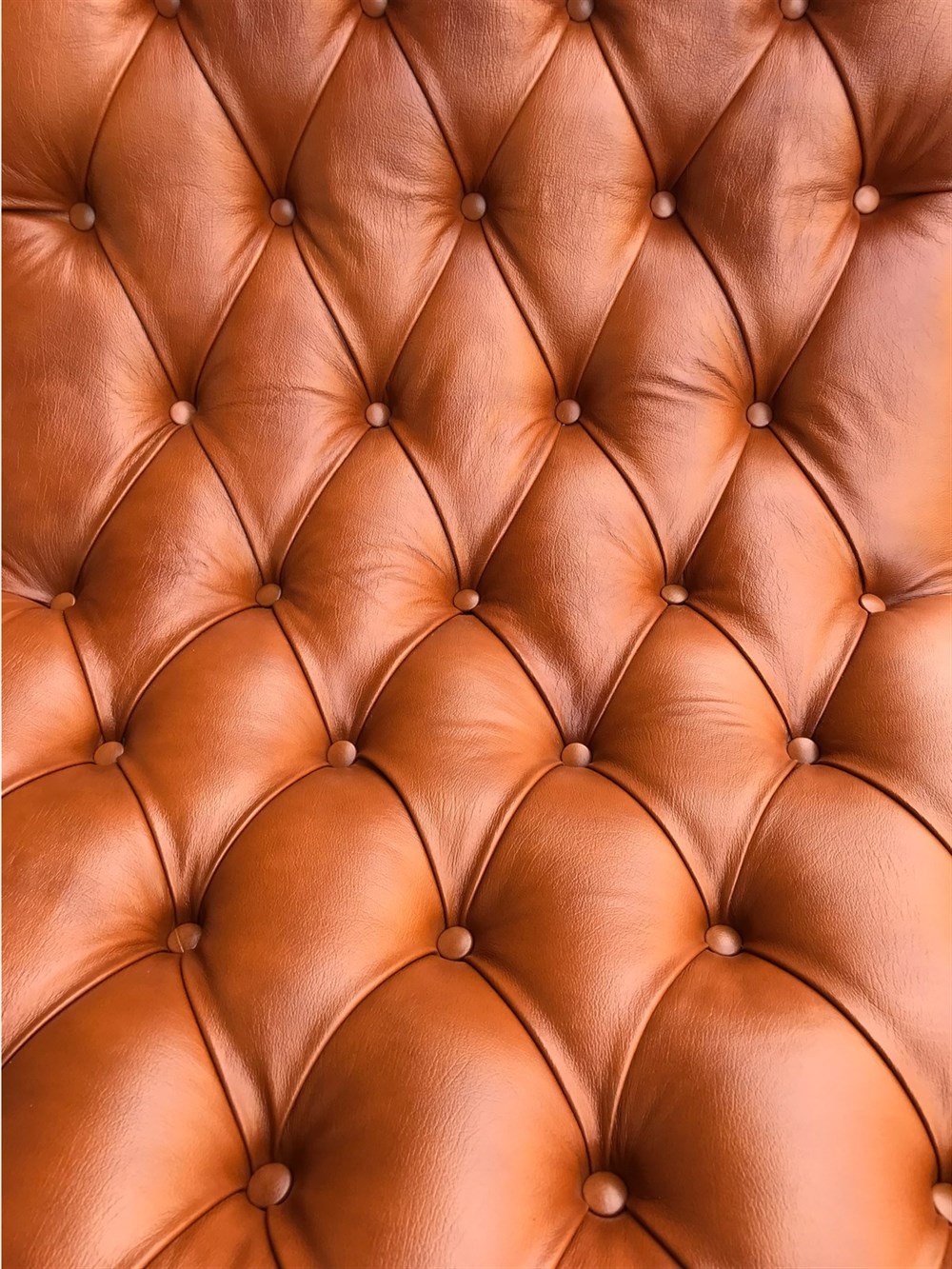 3A Mobilya Hakiki Deri Daybed Dinlenme Koltuğu