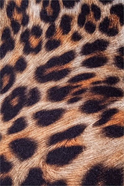 3A Mobilya Leopar Puf - Desenli