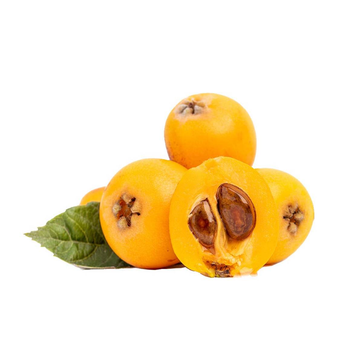 Yeni Dünya(Malta Eriği) KG