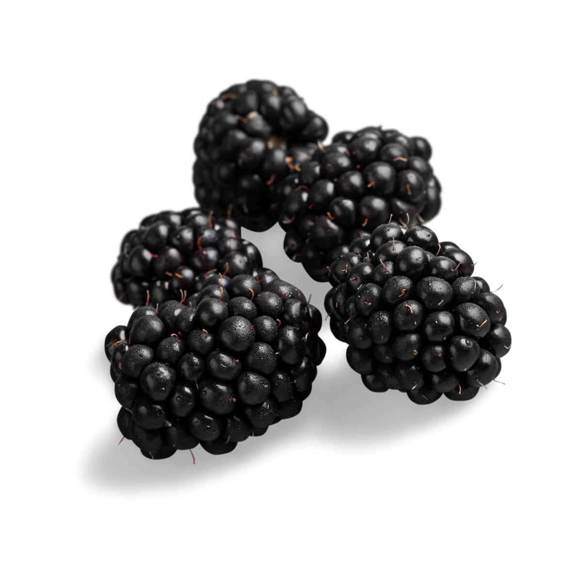 Verita Taze Böğürtlen