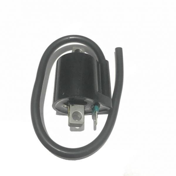 BWS100 BOBİN ATEŞLEME