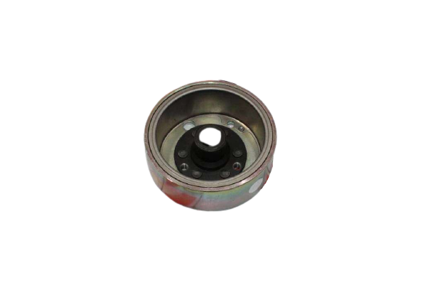 BWS100 MANYETO ROTOR TW