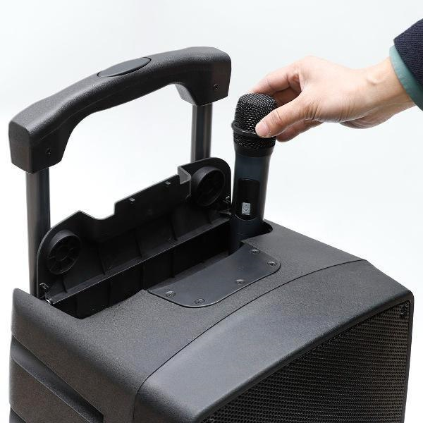 12 İnç 30 Cm Taşınabilir Profesyonel Amfili Hoparlör Kabini - 2 Mikrofonlu El+Yaka
