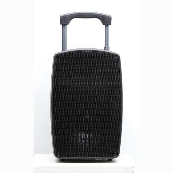 12 İnç 30 Cm Taşınabilir Profesyonel Amfili Hoparlör Kabini - 2 Mikrofonlu El+Yaka