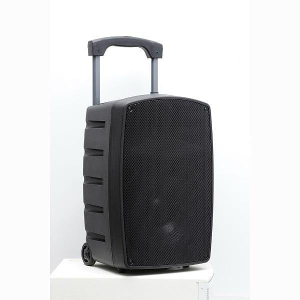 15 İnç 38 Cm Taşınabilir Profesyonel Amfili Hoparlör Kabini - 2 Mikrofonlu El+Yaka