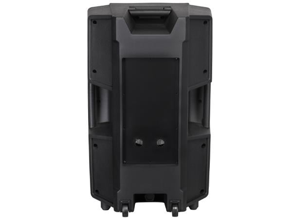 38 Cm 15 Inç Boş Plastik Hoparlör Kabini - Model R