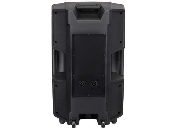 38 Cm 15 Inç Pasif Plastik Hoparlör Kabini - Model R - 800 WATT