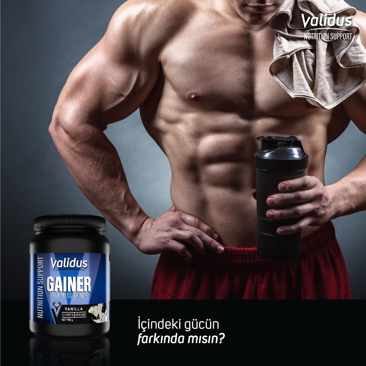 True Mass Gainer 700 Gr Vanilya Aromalı