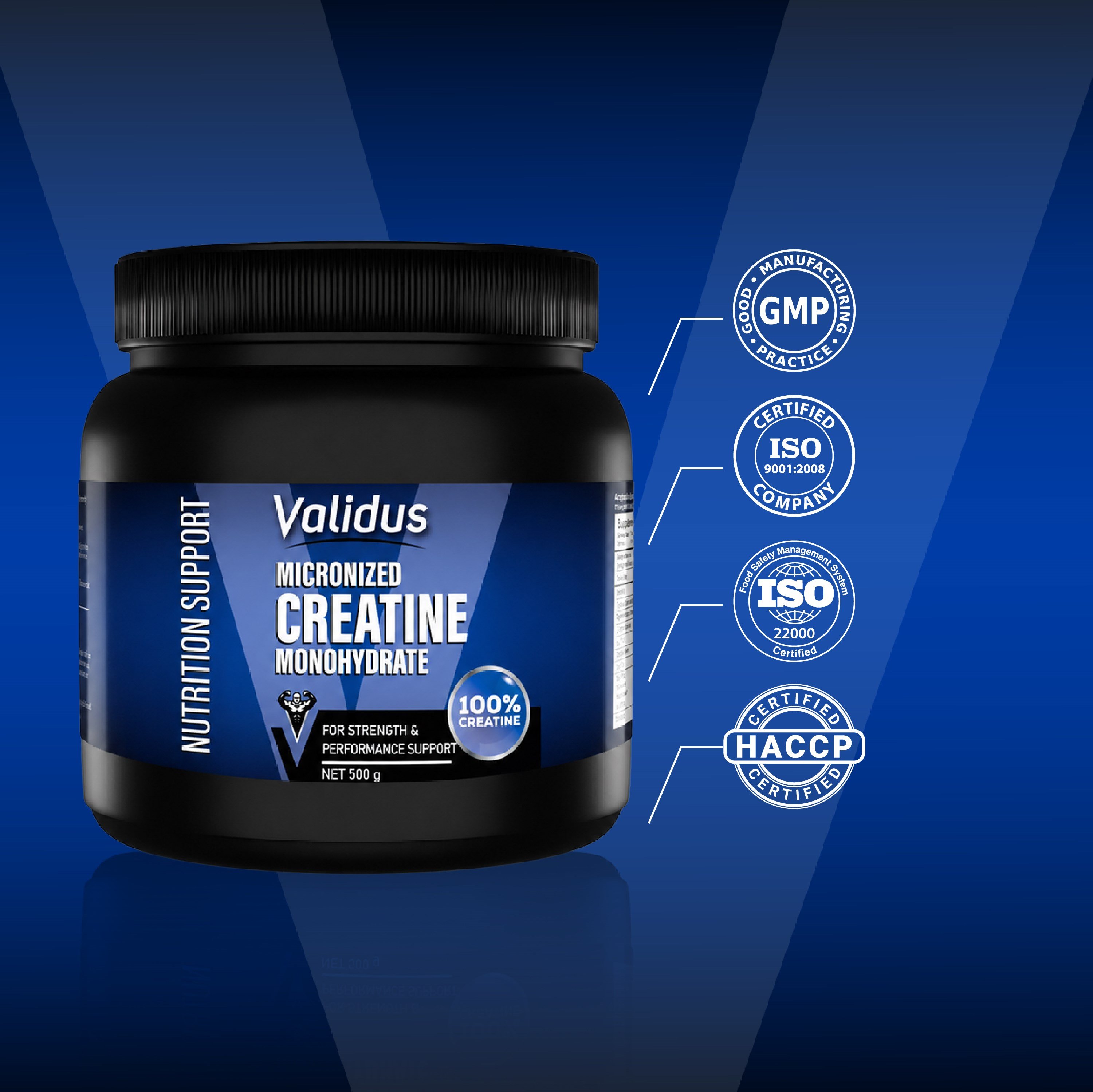 Validus Creatin Monohydrate 500g