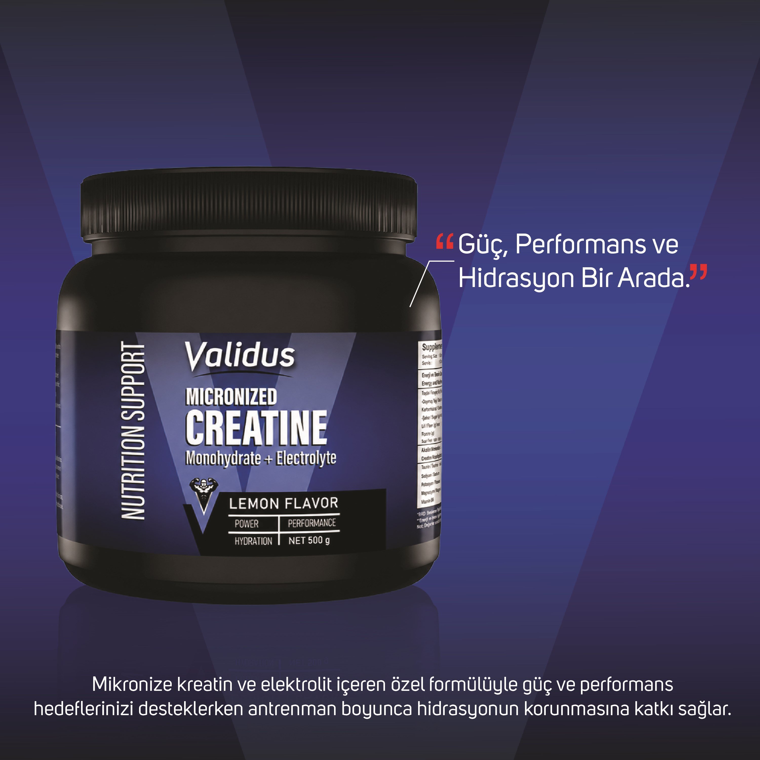 Validus Creatin Monohydrate + Electrolyte 500g