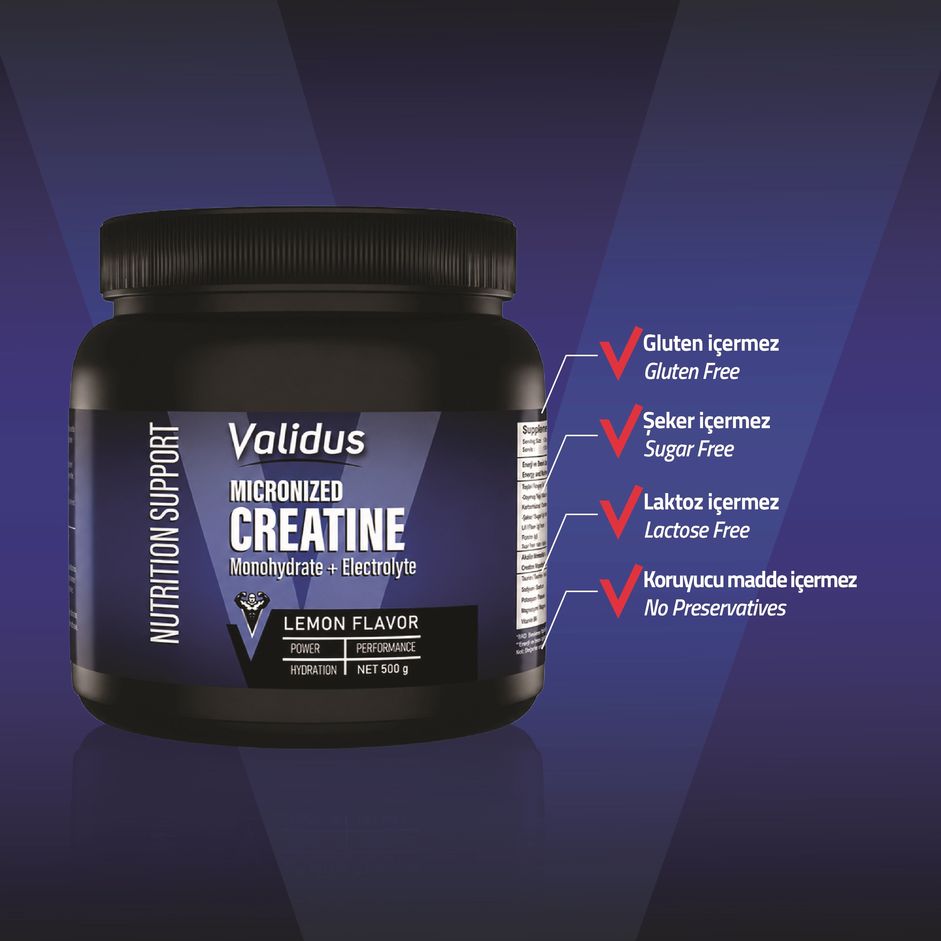 Validus Creatin Monohydrate + Electrolyte 500g