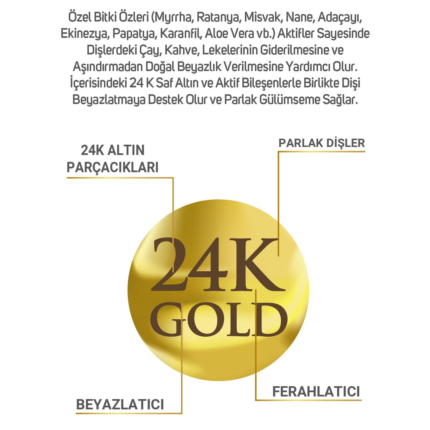 Dentalab 24k Altın Parçacıklar Içeren Diş Macunu 75 G