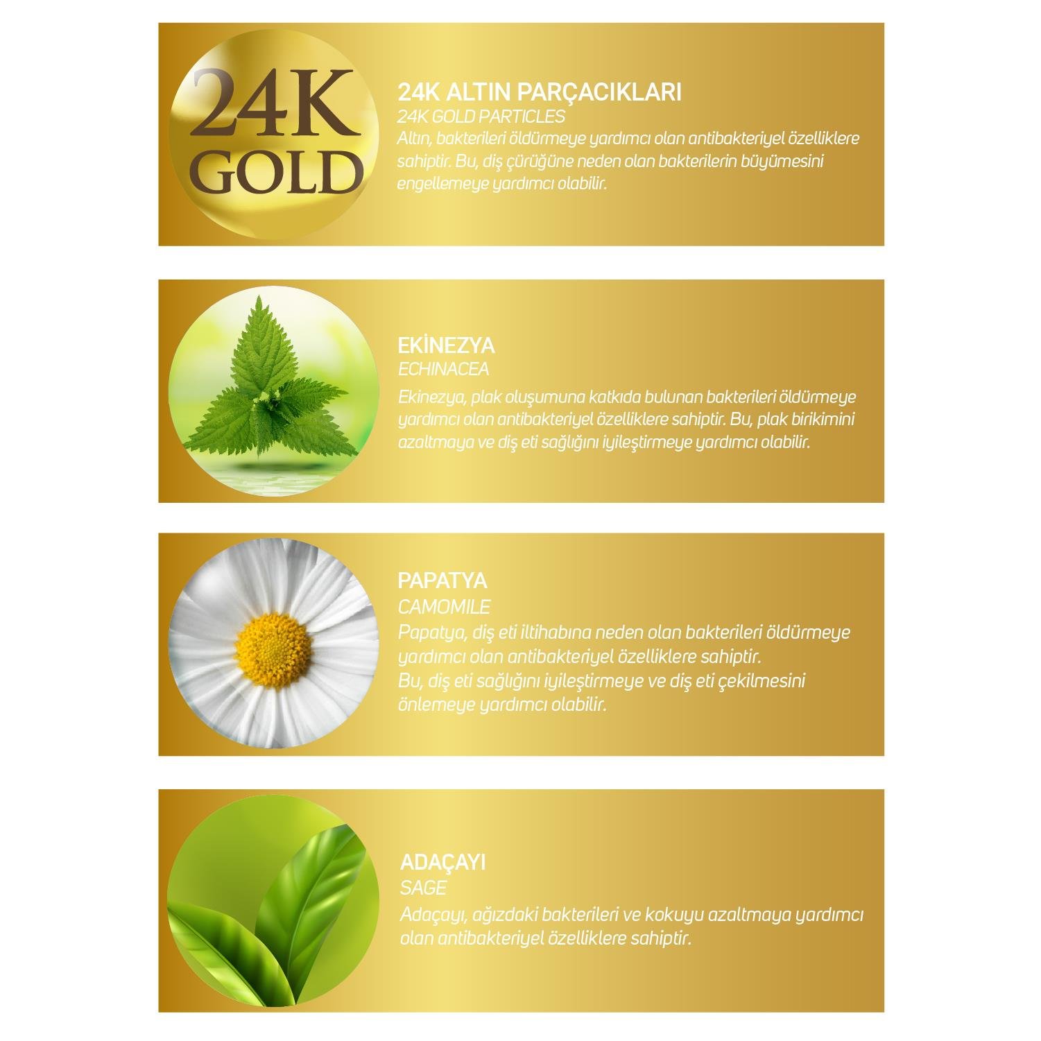 Dentalab 24k Altın Parçacıklar Içeren Diş Macunu 75 G