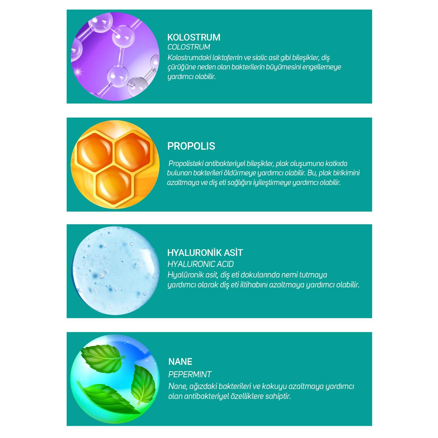 DENTALAB AĞIZ BAKIM SPREYİ