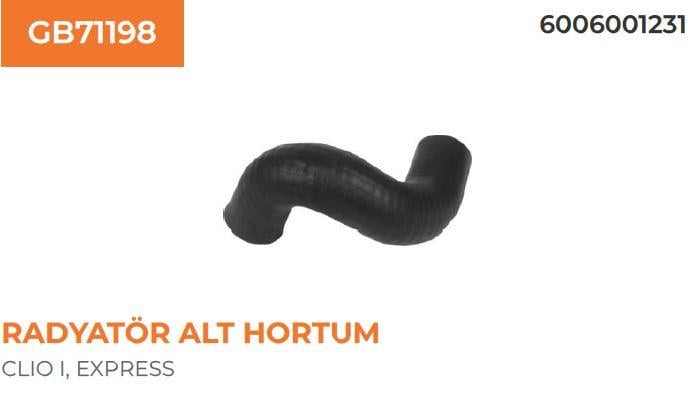 RADYATÖR HORTUMU ALT EXPRESS R19 1.9D